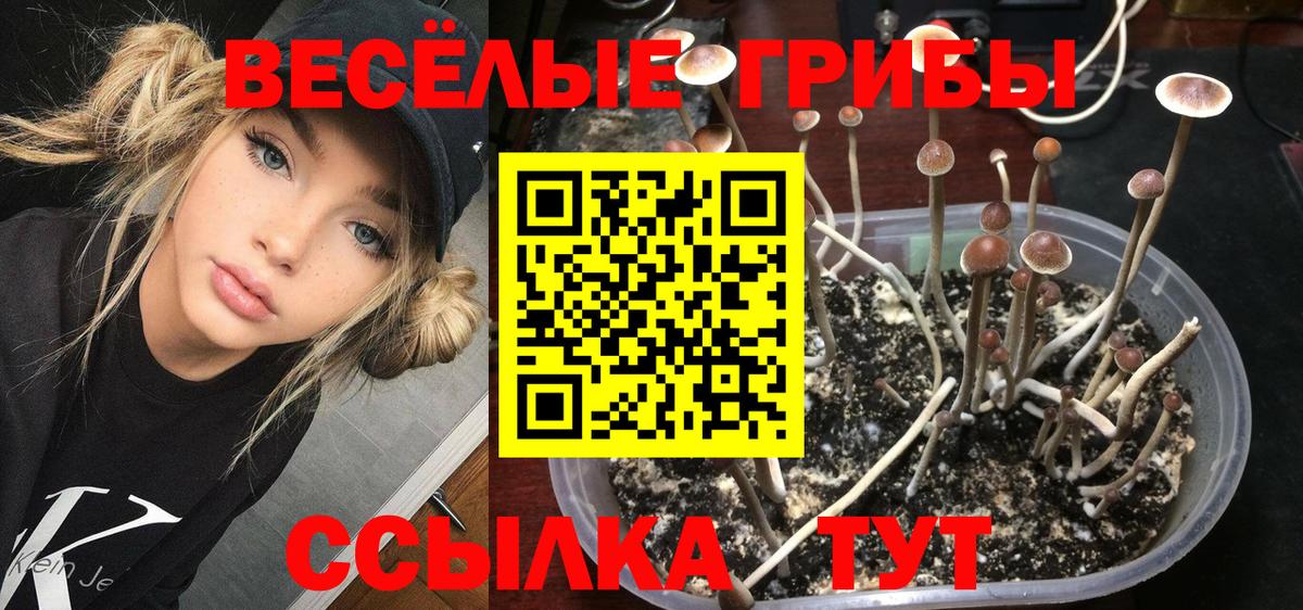Галлюциногенные грибы прущие грибы  Вход с VPN  Обнинск 