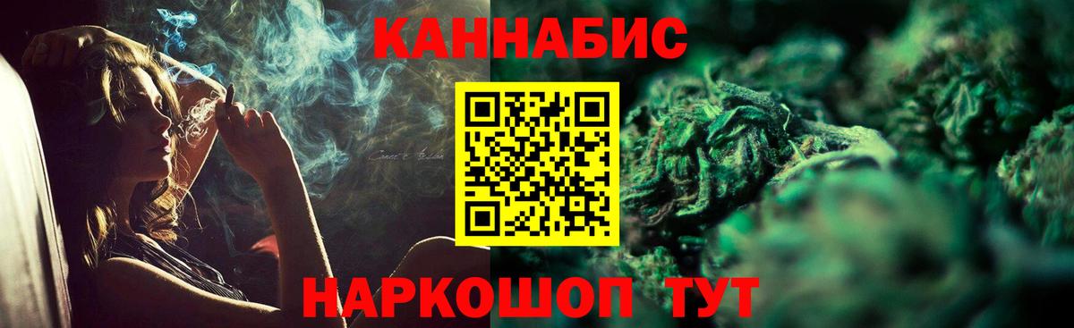 Конопля гибрид Обнинск